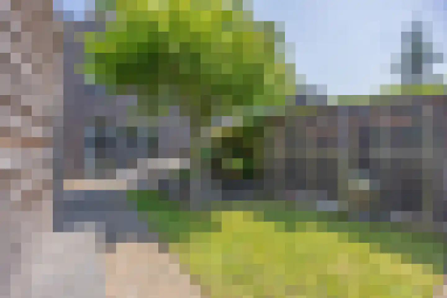 Dek 4 Groningen thumbnail 52
