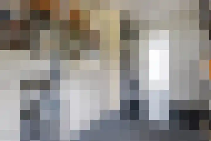 Dekamalaan 10 Sneek thumbnail 23