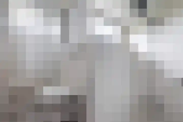 Dekamalaan 10 Sneek thumbnail 28