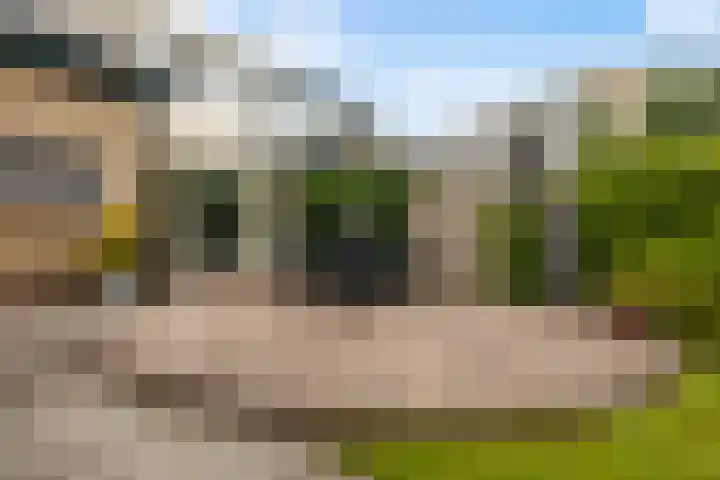 Dekamalaan 10 Sneek thumbnail 33