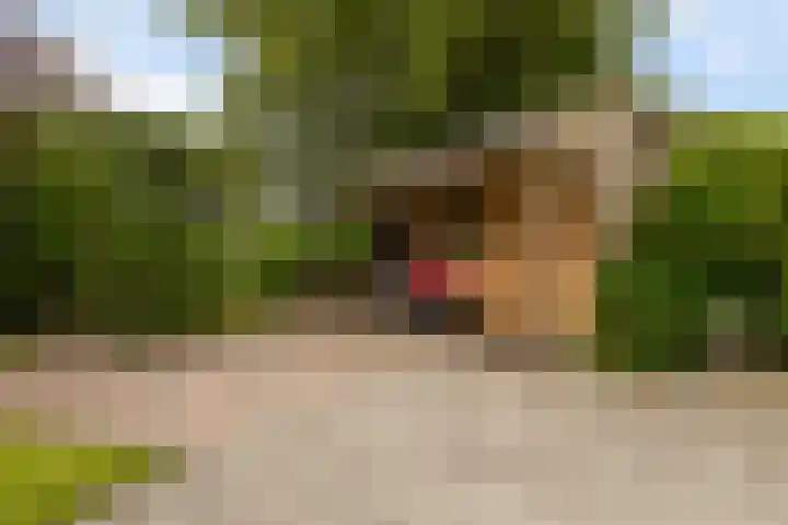 Dekamalaan 10 Sneek thumbnail 38