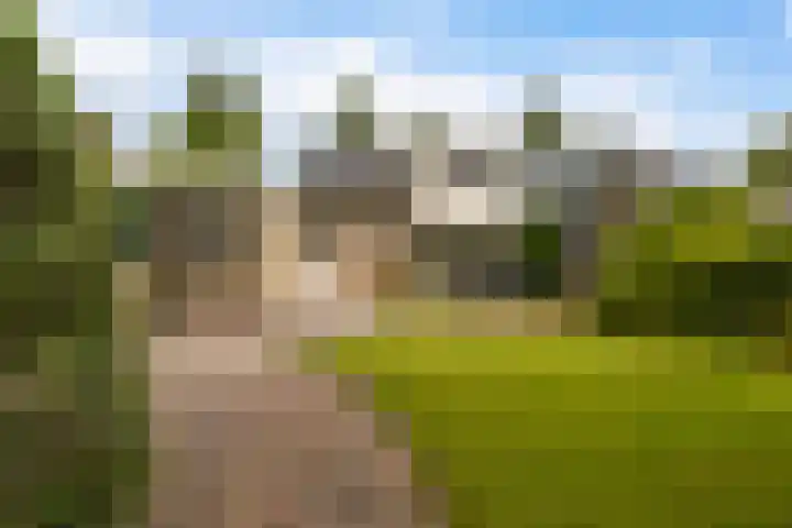 Dekamalaan 10 Sneek thumbnail 40