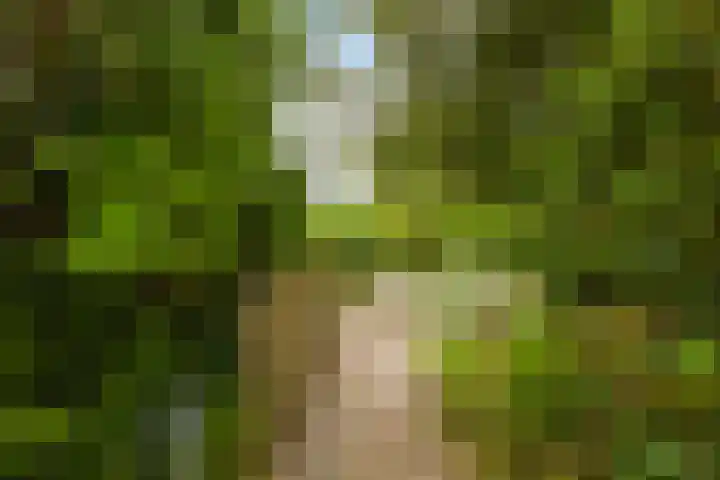 Dekamalaan 10 Sneek thumbnail 41