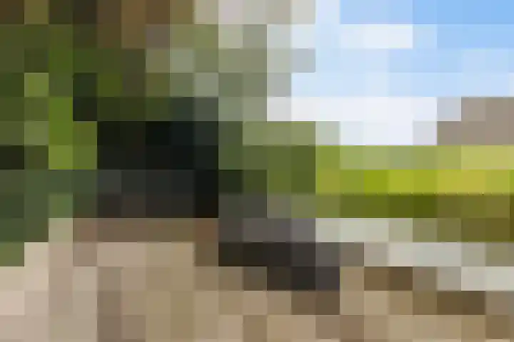 Dekamalaan 10 Sneek thumbnail 42