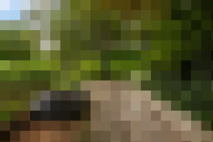 Dekamalaan 10 Sneek thumbnail 44