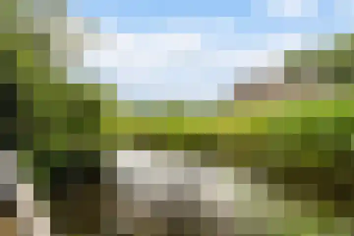 Dekamalaan 10 Sneek thumbnail 45