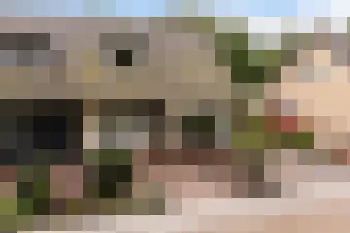 Dekamalaan 10 Sneek thumbnail 47