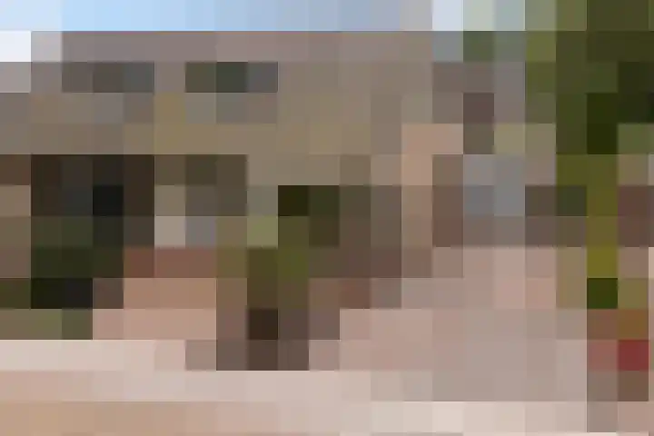 Dekamalaan 10 Sneek thumbnail 48