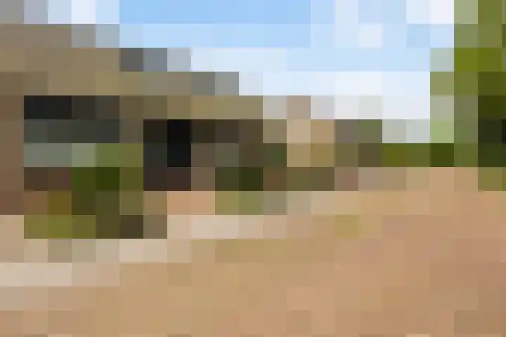 Dekamalaan 10 Sneek thumbnail 49
