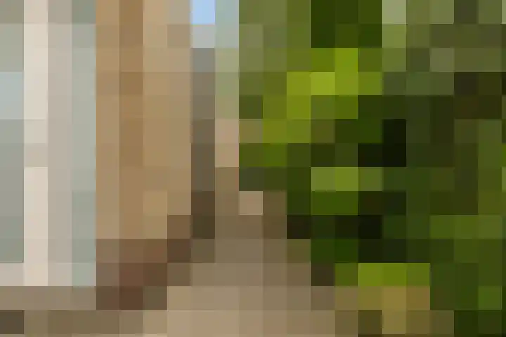 Dekamalaan 10 Sneek thumbnail 55