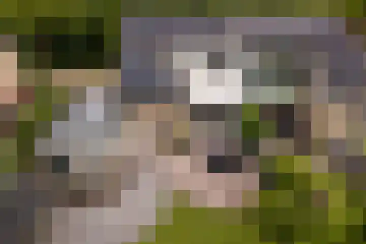 Dekamalaan 10 Sneek thumbnail 57