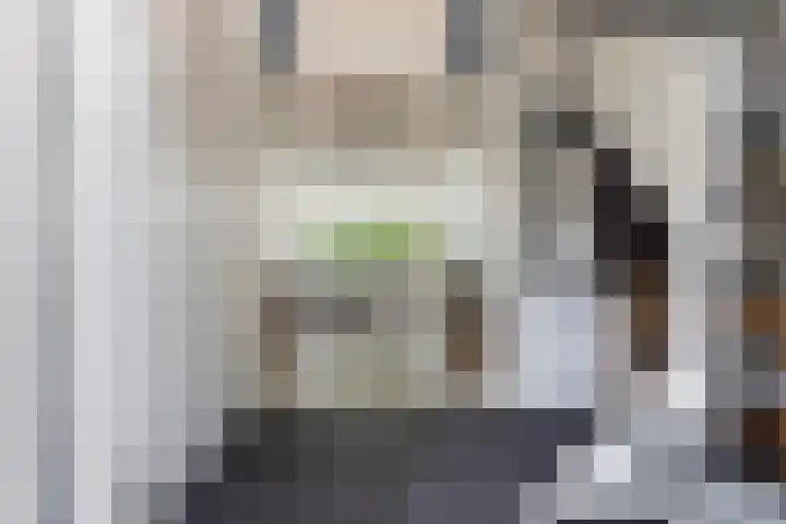 Dekamalaan 10 Sneek thumbnail 6