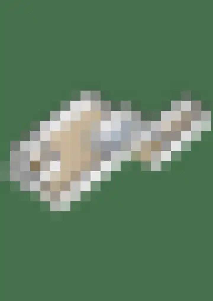 Dekamalaan 10 Sneek thumbnail 61