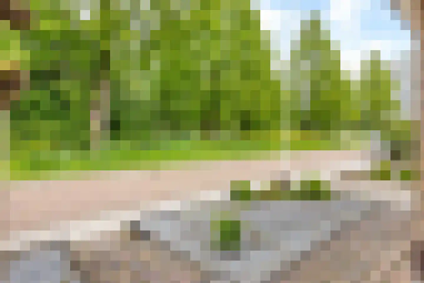 Dekamalaan 9 Sneek thumbnail 12