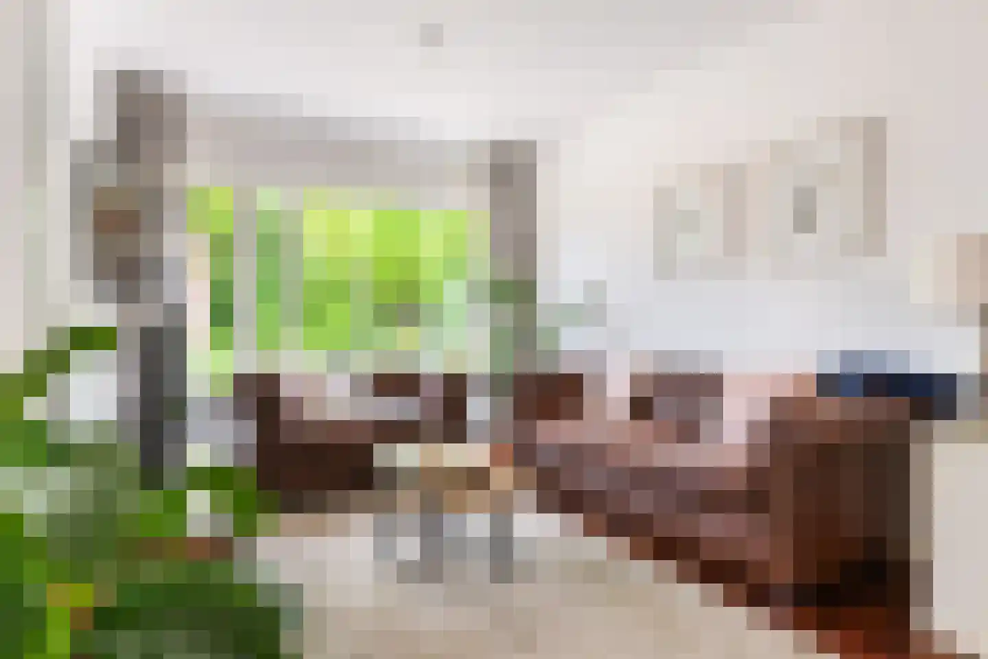 Dekamalaan 9 Sneek thumbnail 20