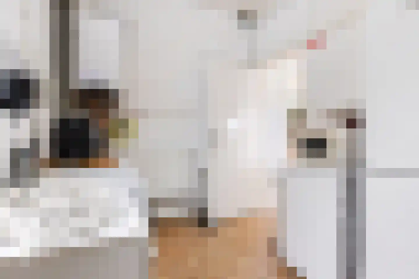 Dekamalaan 9 Sneek thumbnail 30