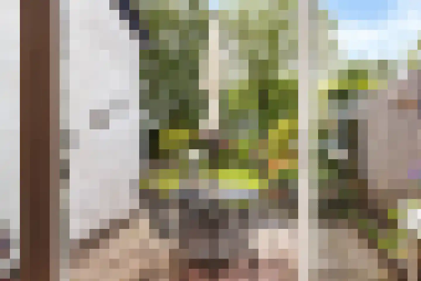 Dekamalaan 9 Sneek thumbnail 33