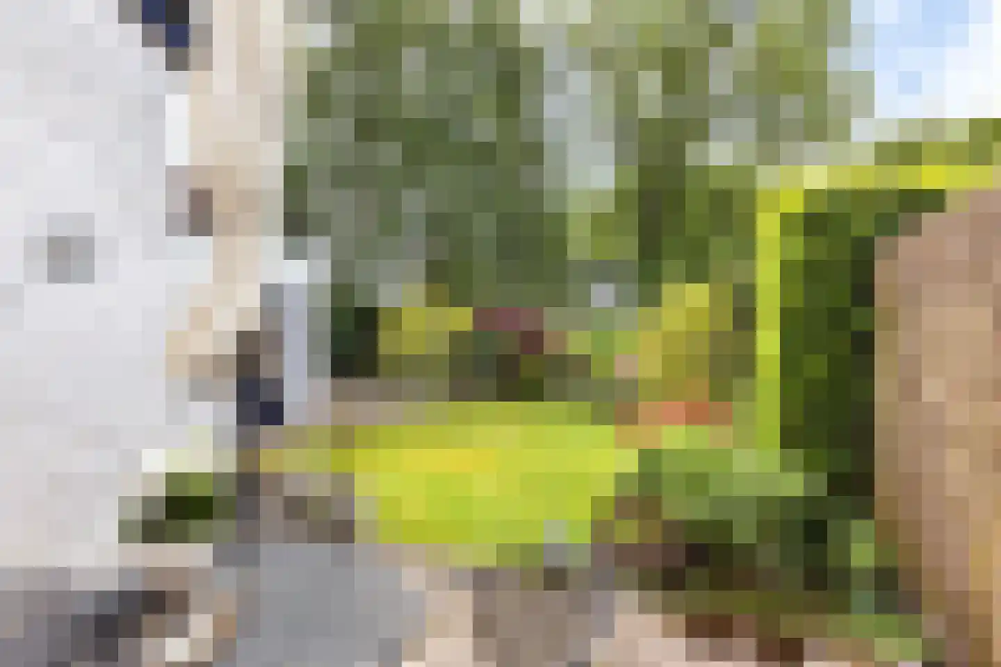 Dekamalaan 9 Sneek thumbnail 34