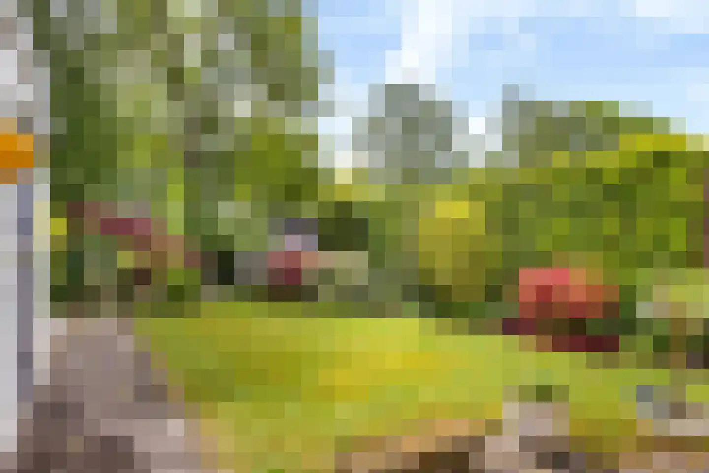 Dekamalaan 9 Sneek thumbnail 36