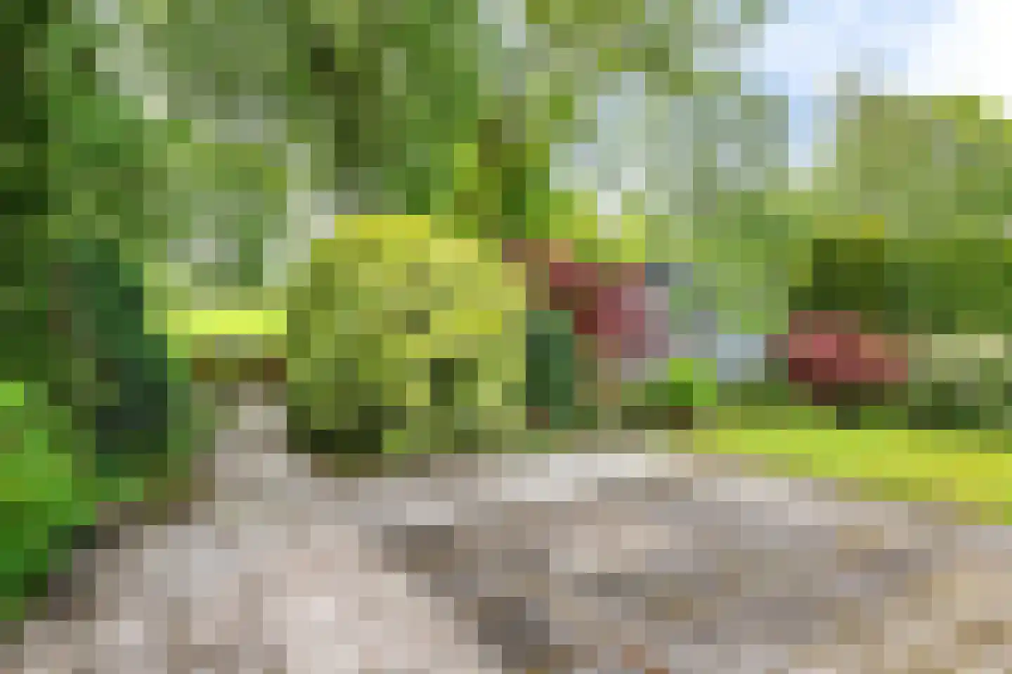 Dekamalaan 9 Sneek thumbnail 39
