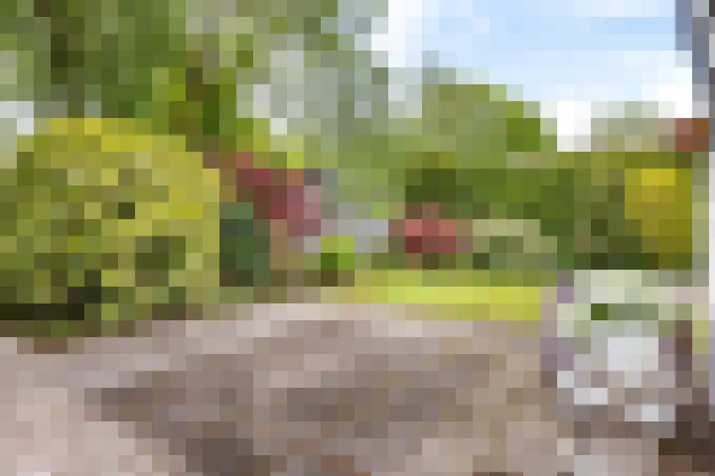 Dekamalaan 9 Sneek thumbnail 40