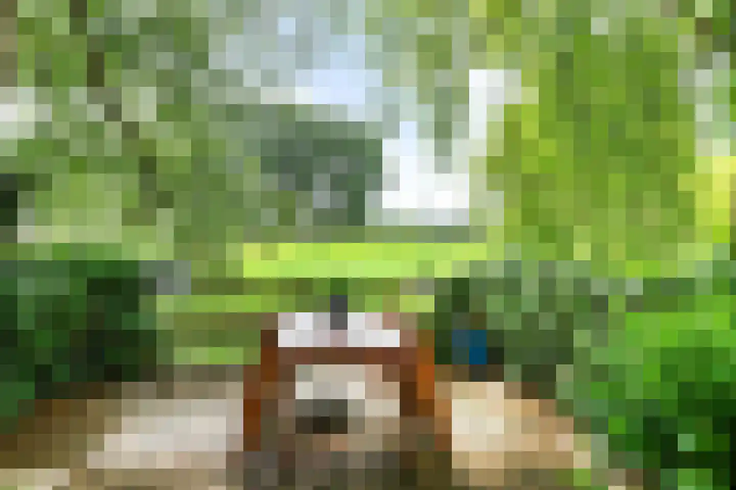 Dekamalaan 9 Sneek thumbnail 41
