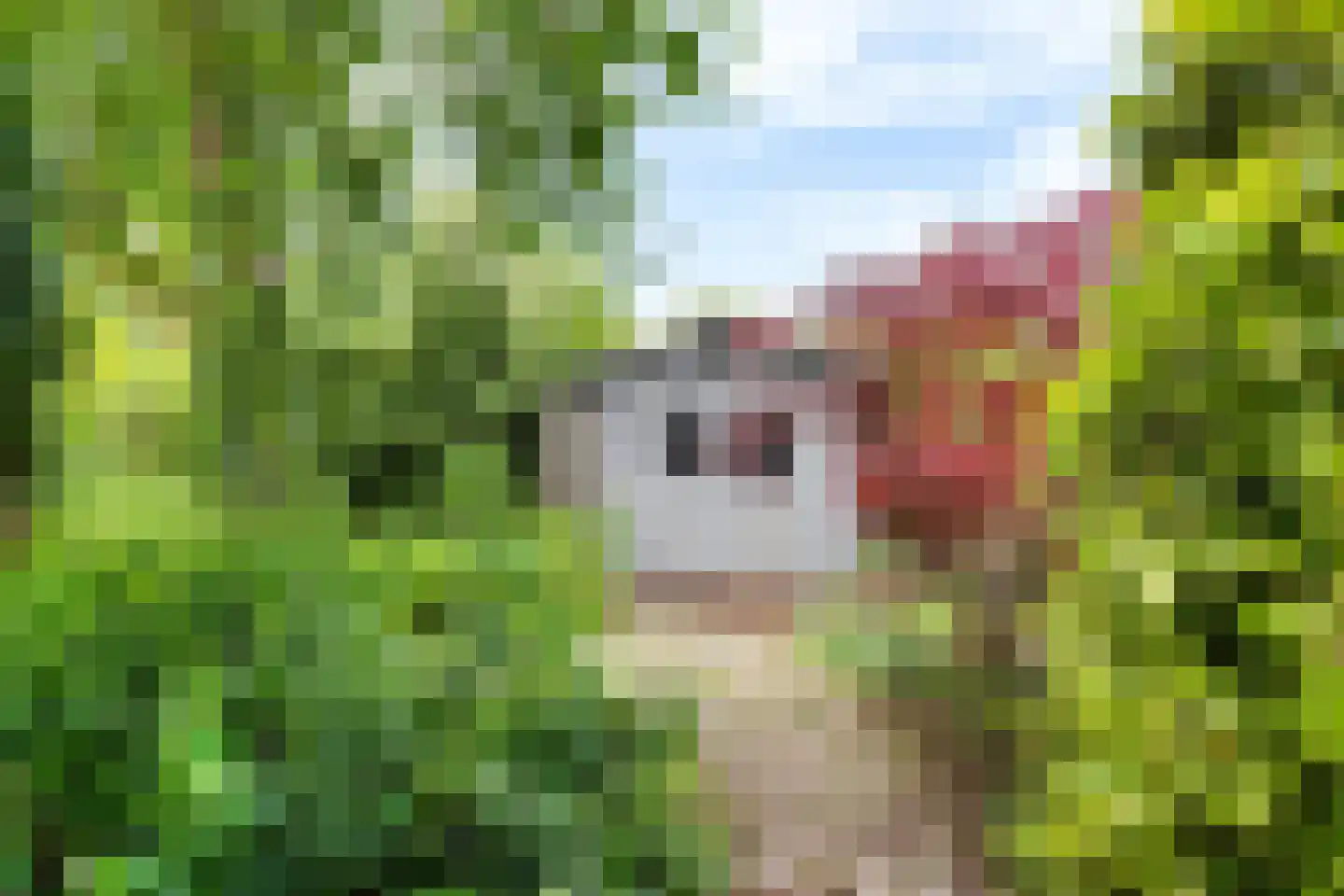 Dekamalaan 9 Sneek thumbnail 42