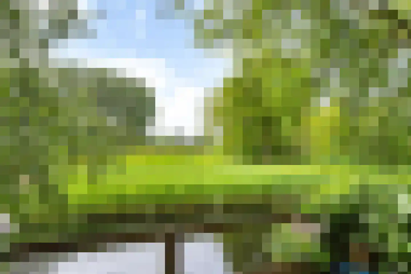 Dekamalaan 9 Sneek thumbnail 43