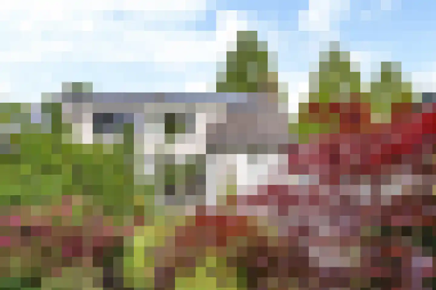 Dekamalaan 9 Sneek thumbnail 44