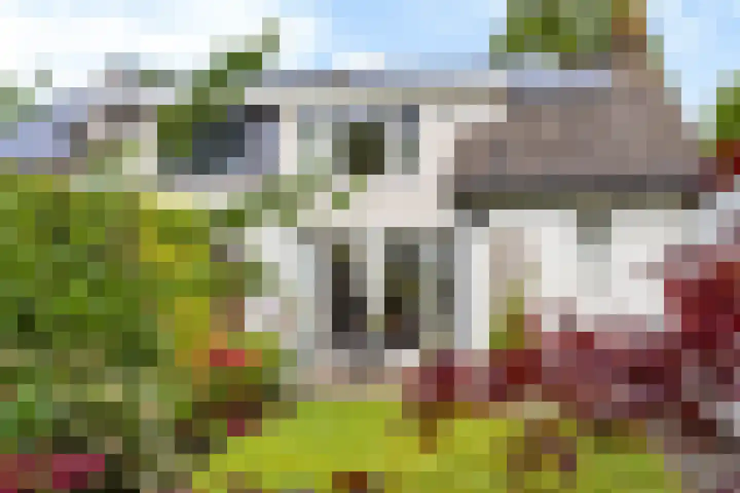 Dekamalaan 9 Sneek thumbnail 45