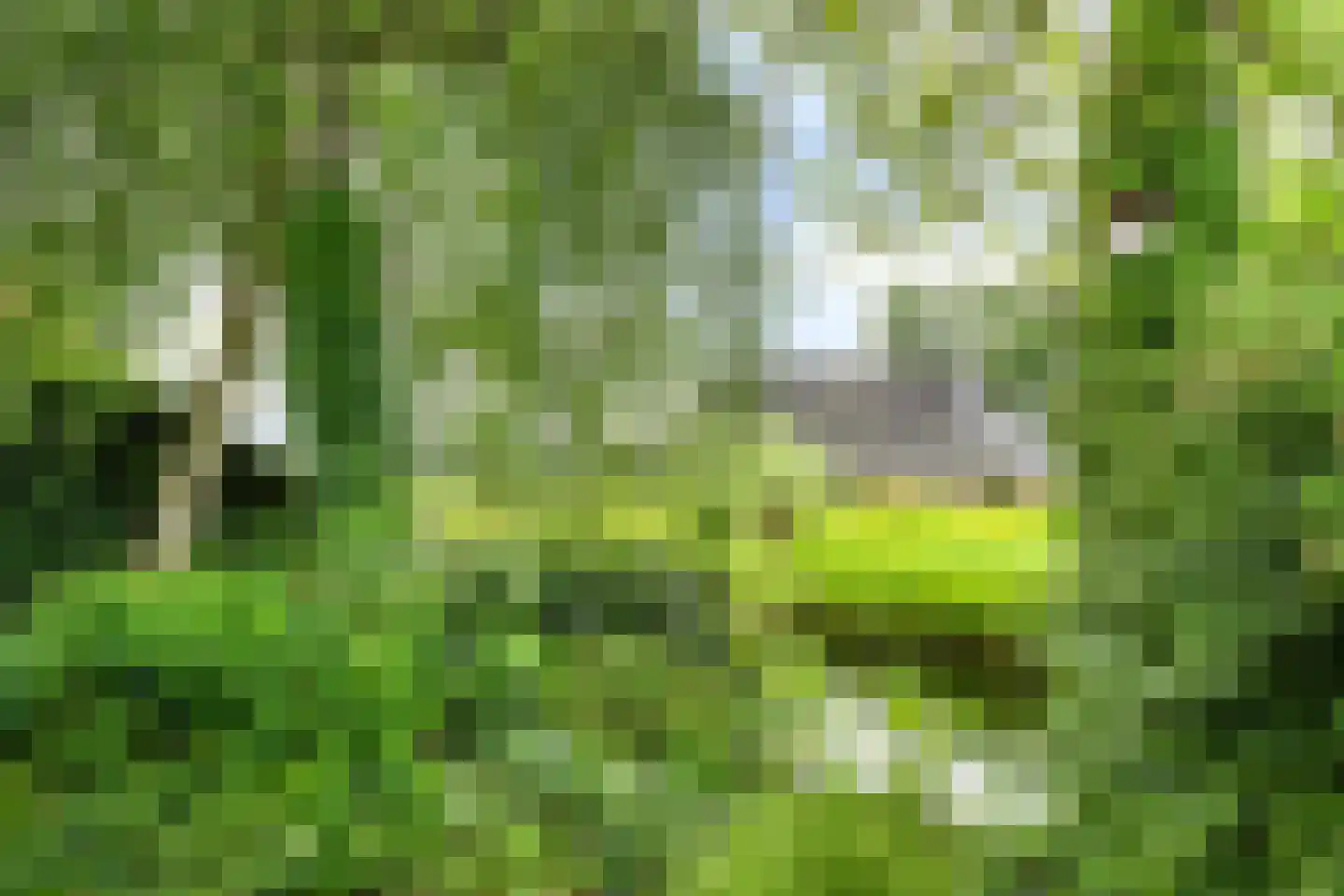 Dekamalaan 9 Sneek thumbnail 46