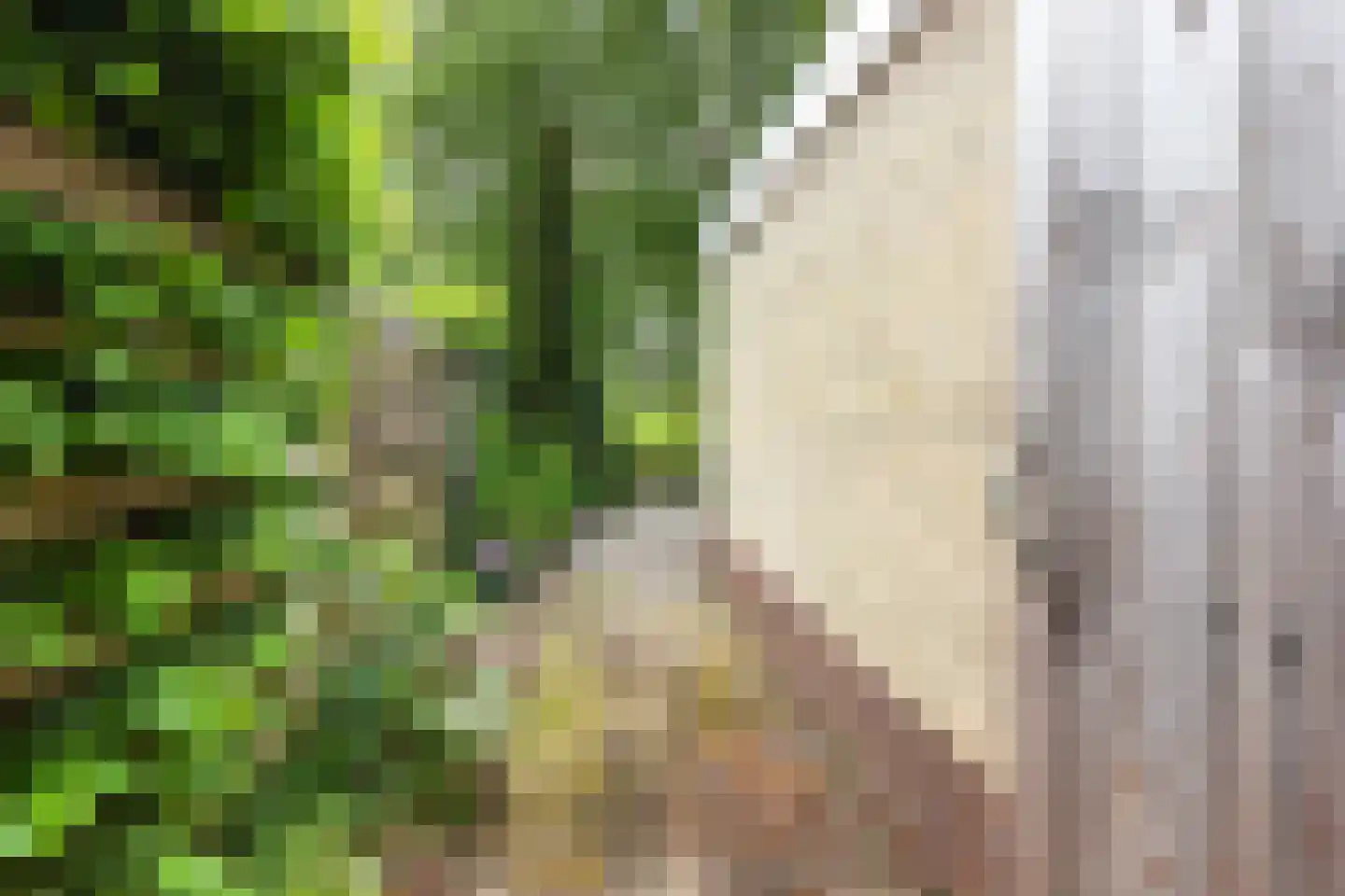 Dekamalaan 9 Sneek thumbnail 47