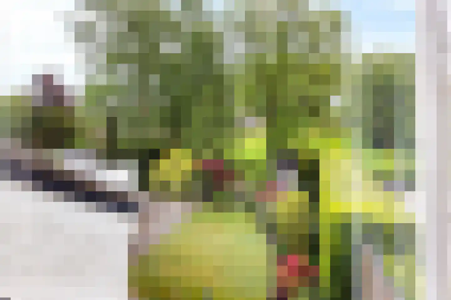 Dekamalaan 9 Sneek thumbnail 51