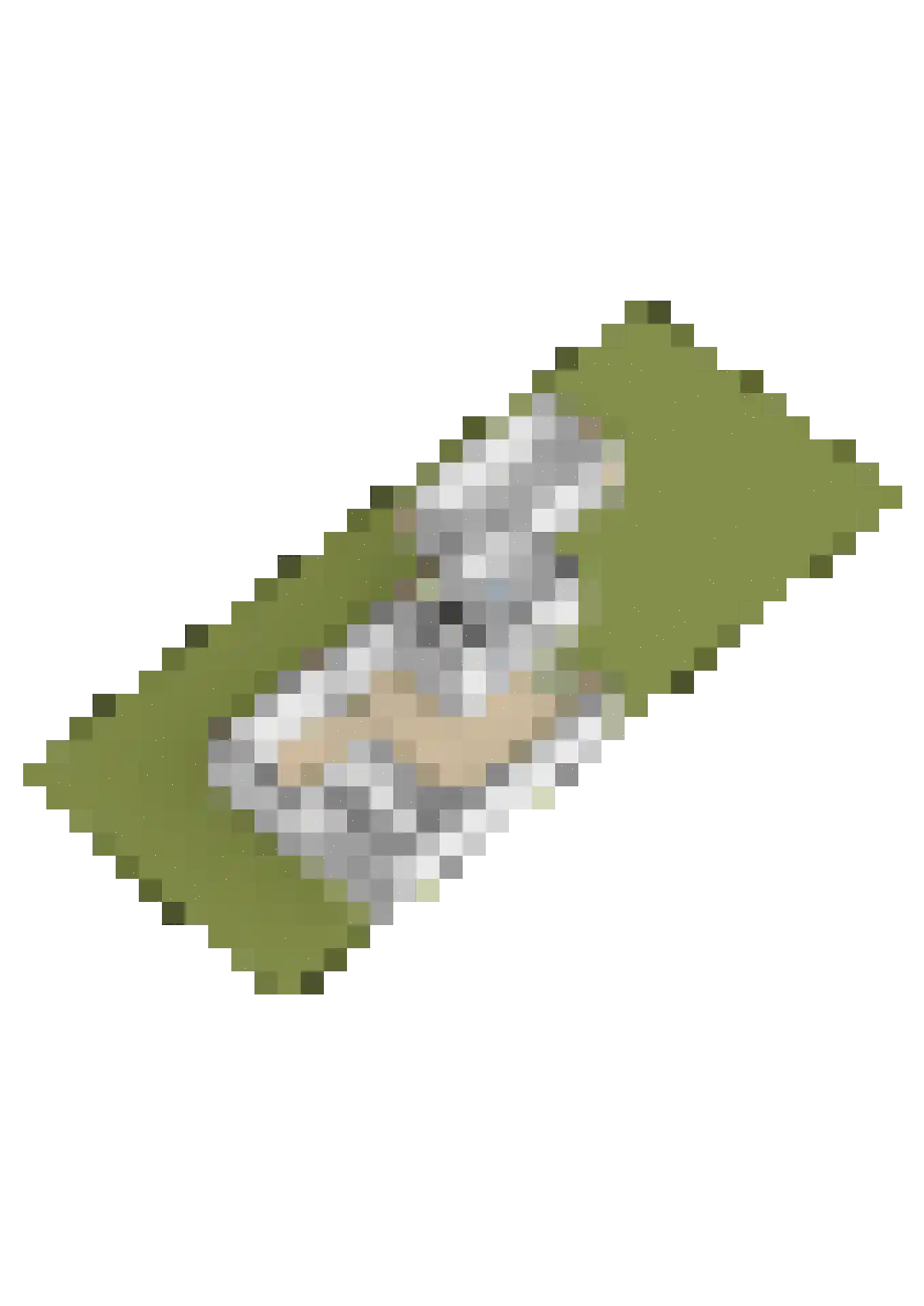Dekamalaan 9 Sneek thumbnail 66
