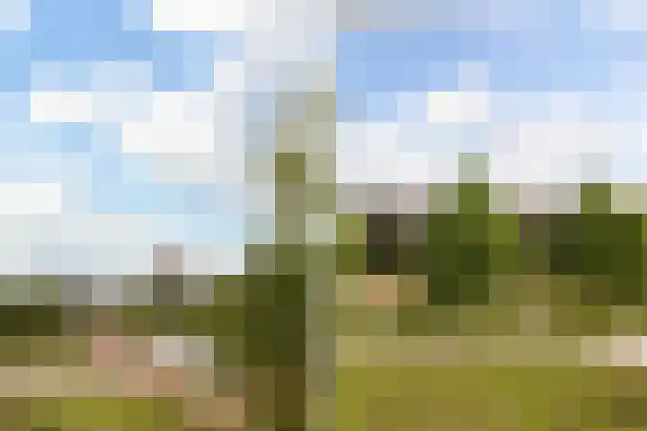 Dekamastraat 18 Leeuwarden thumbnail 37