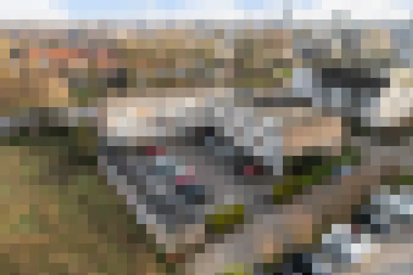 Dekamastraat 48 Leeuwarden thumbnail 36