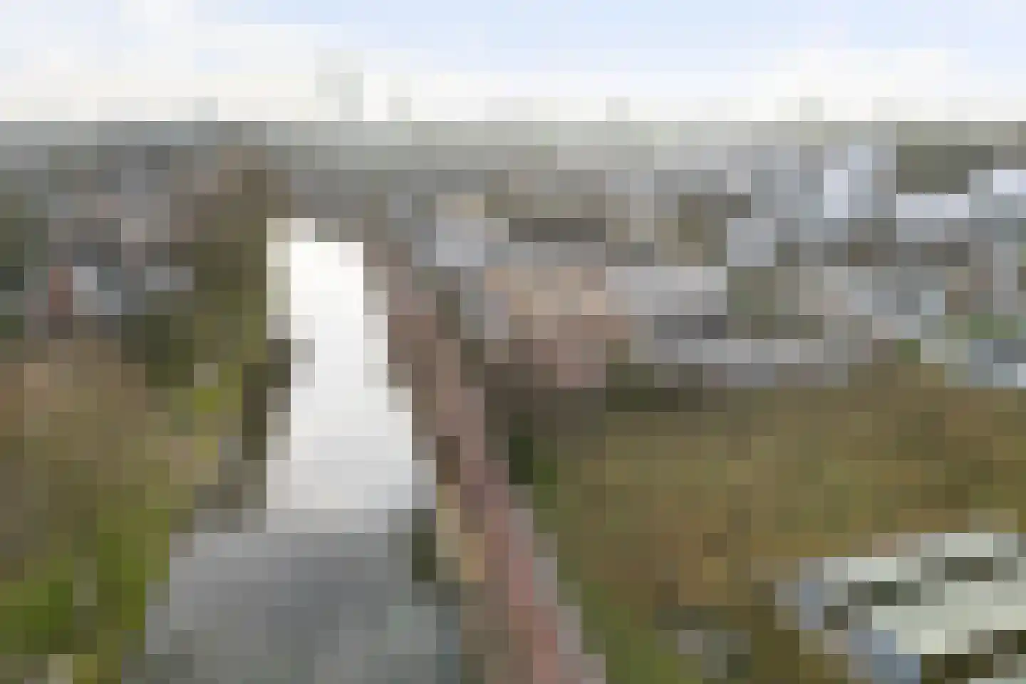 Dekamastraat 48 Leeuwarden thumbnail 37