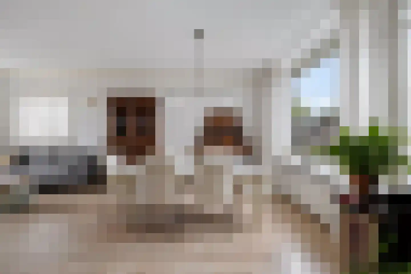 Dekamastrjitte 21 Jirnsum thumbnail 13