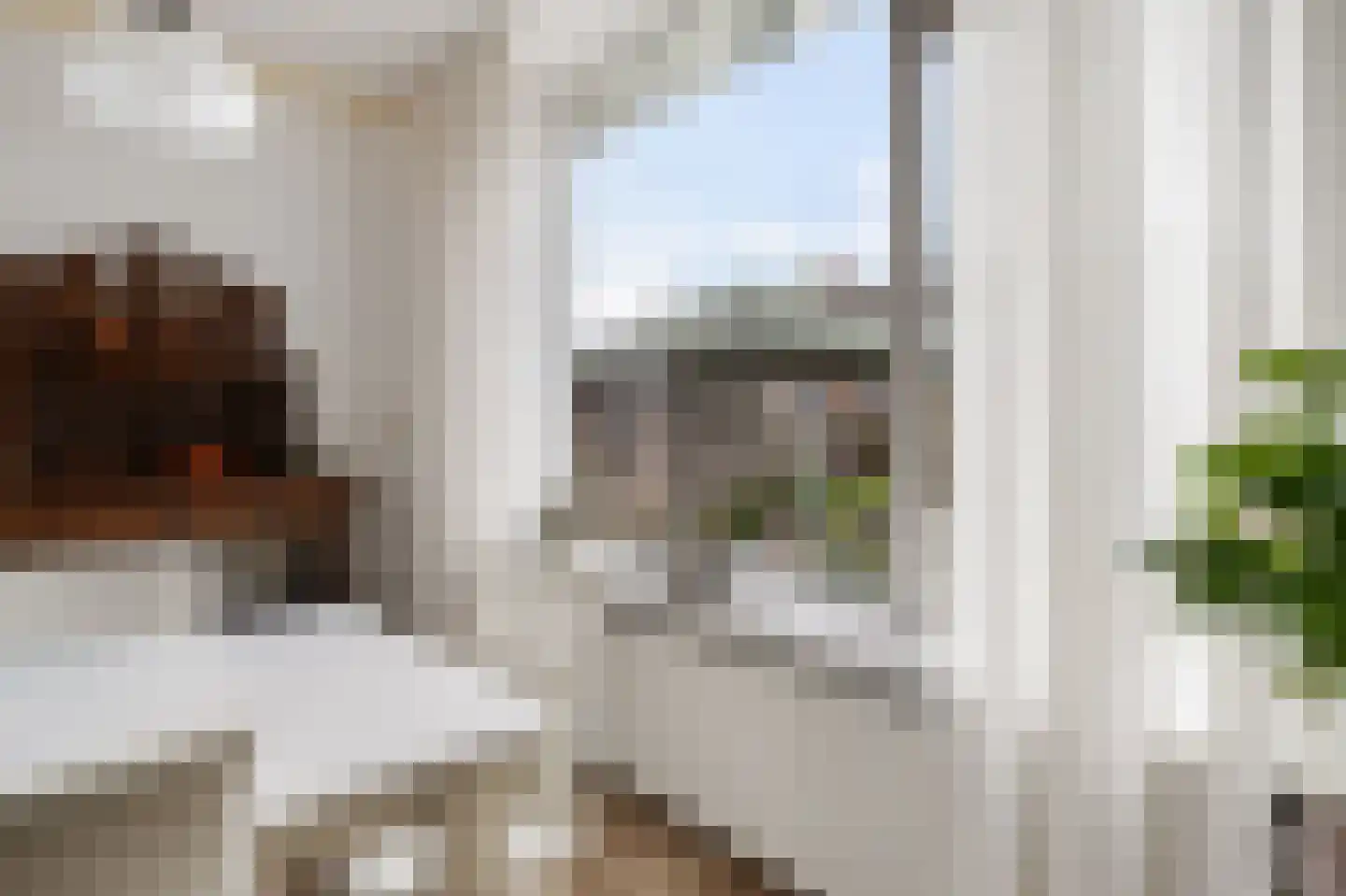Dekamastrjitte 21 Jirnsum thumbnail 14