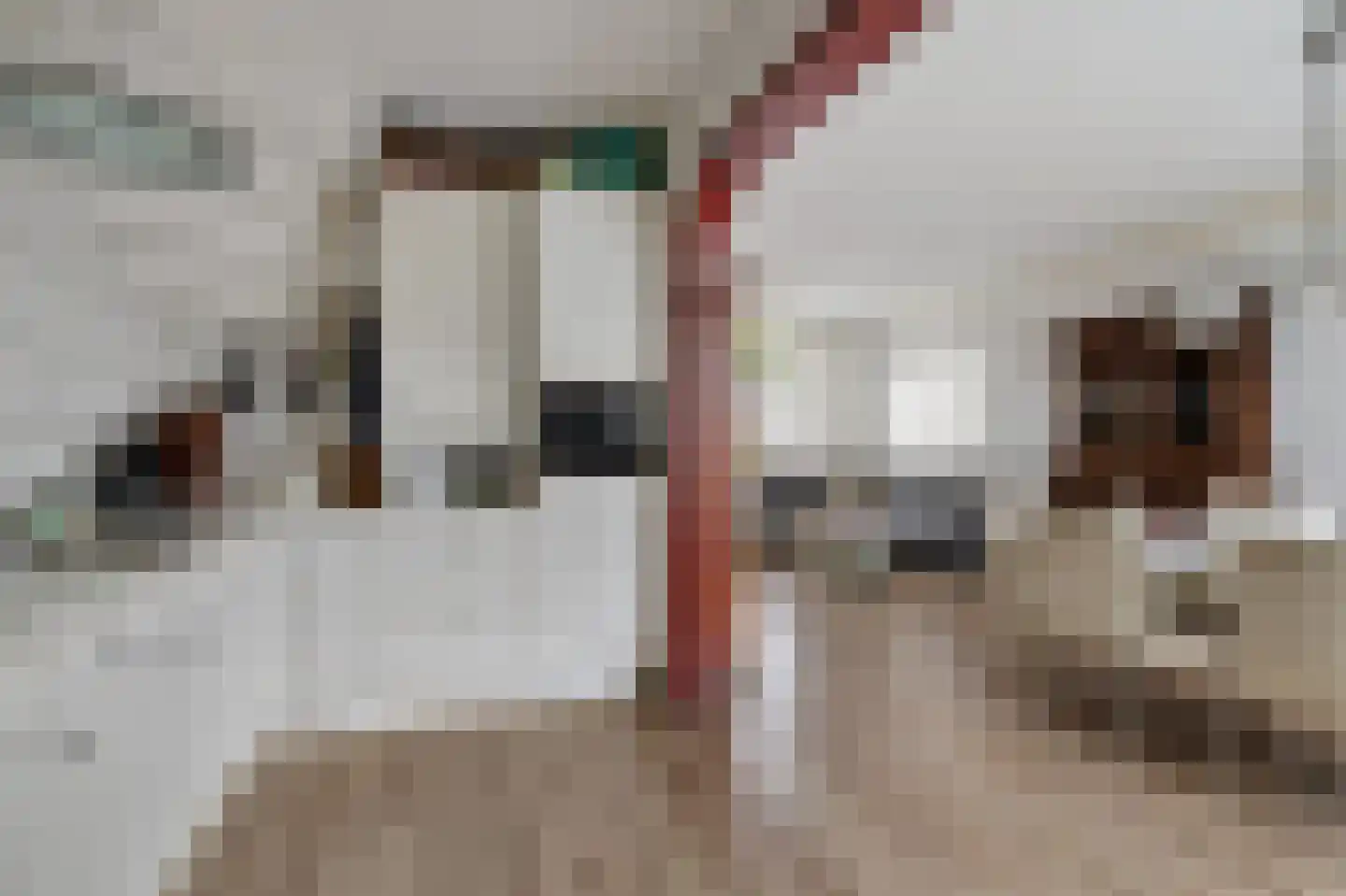 Dekamastrjitte 21 Jirnsum thumbnail 18