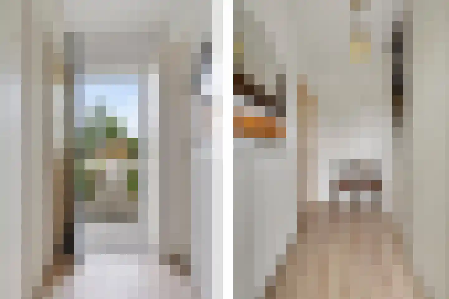 Dekamastrjitte 21 Jirnsum thumbnail 8