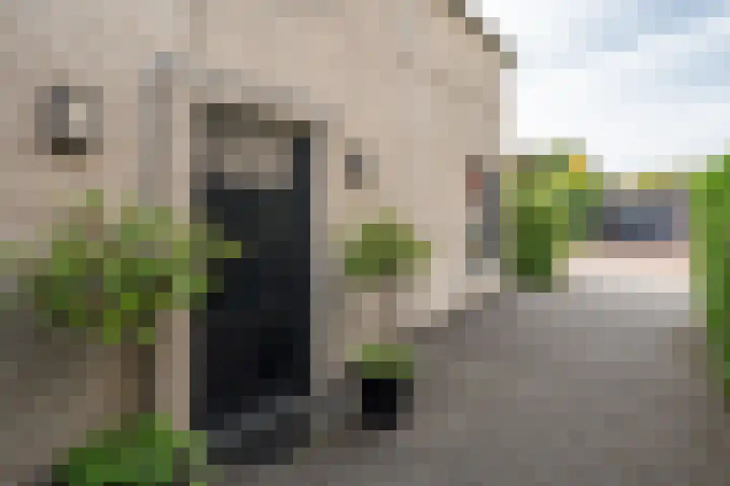 Dekanijstraat 5 Hilvarenbeek thumbnail 11
