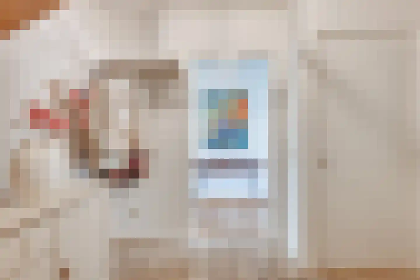 Dekanijstraat 5 Hilvarenbeek thumbnail 12