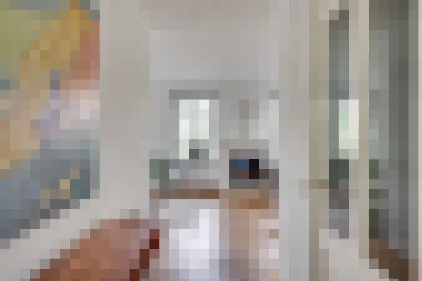 Dekanijstraat 5 Hilvarenbeek thumbnail 14
