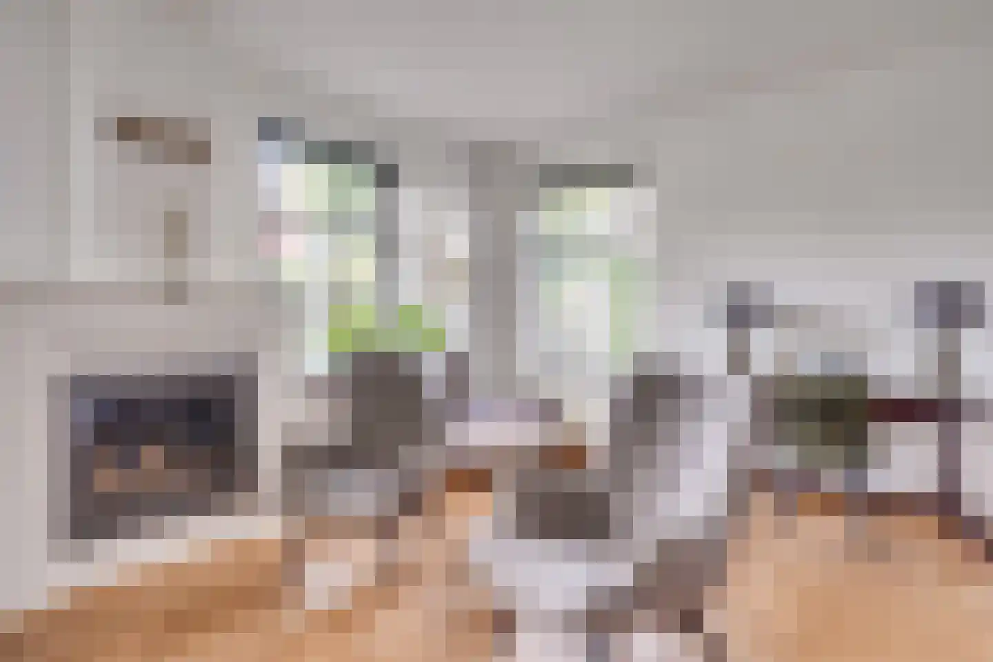 Dekanijstraat 5 Hilvarenbeek thumbnail 16