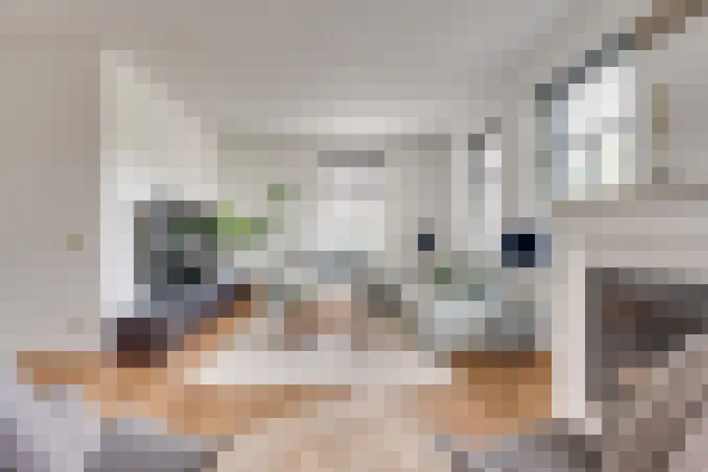 Dekanijstraat 5 Hilvarenbeek thumbnail 17
