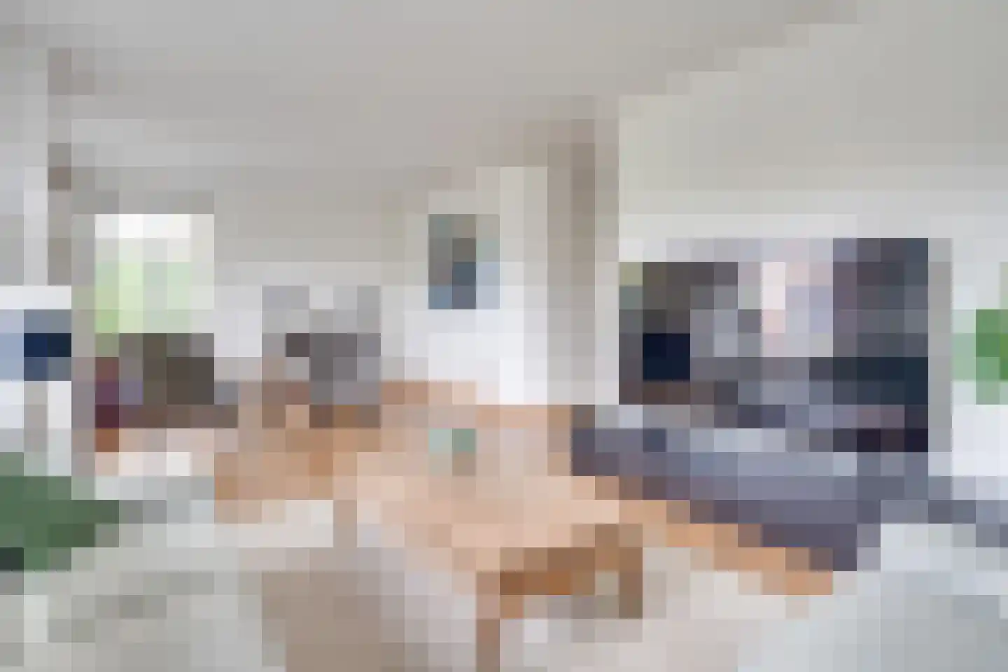 Dekanijstraat 5 Hilvarenbeek thumbnail 19