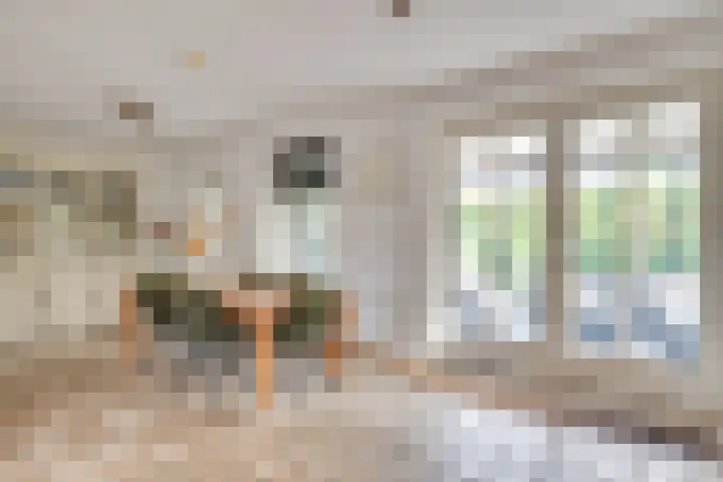 Dekanijstraat 5 Hilvarenbeek thumbnail 27