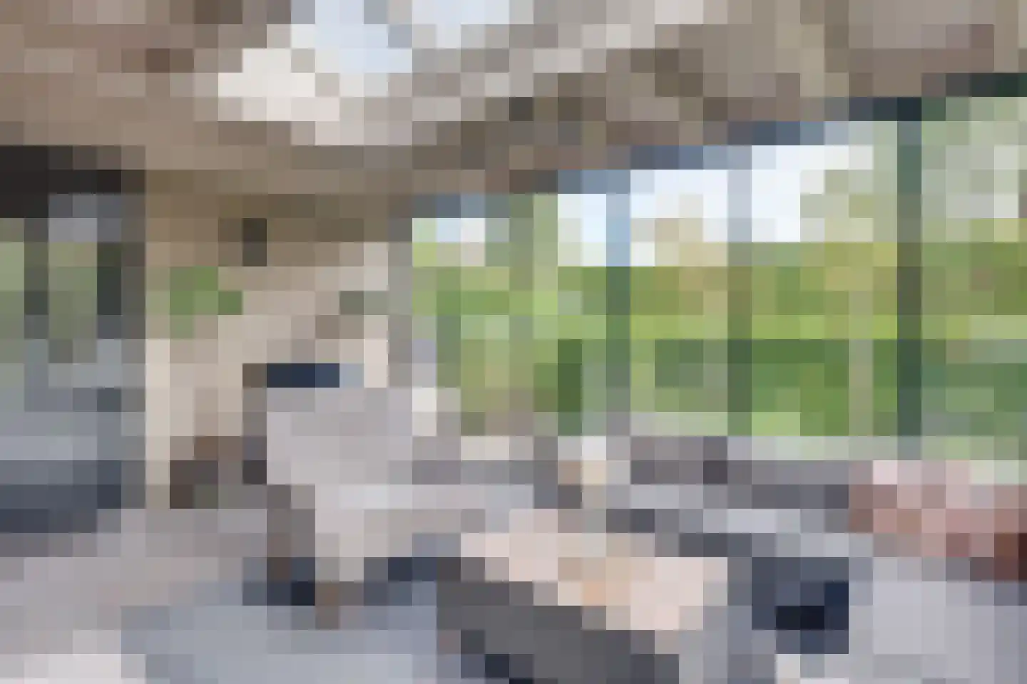 Dekanijstraat 5 Hilvarenbeek thumbnail 30