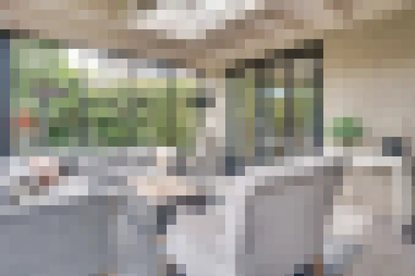 Dekanijstraat 5 Hilvarenbeek thumbnail 31